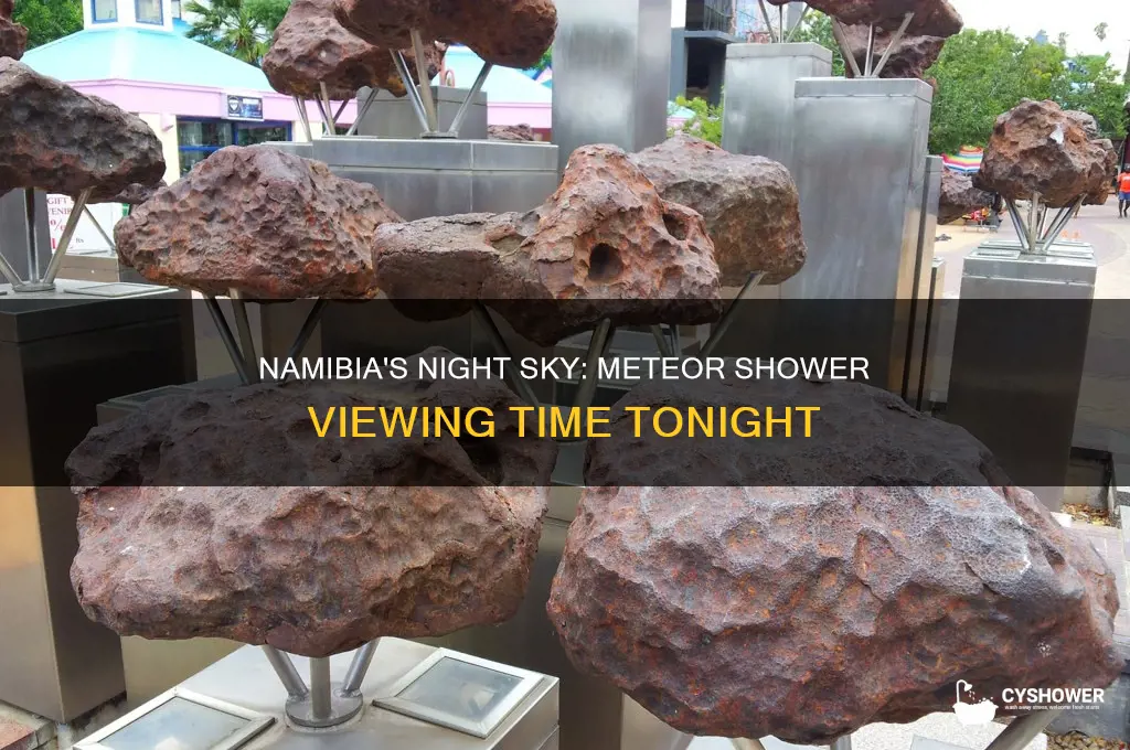 what time is the meteor shower tonight in namibia
