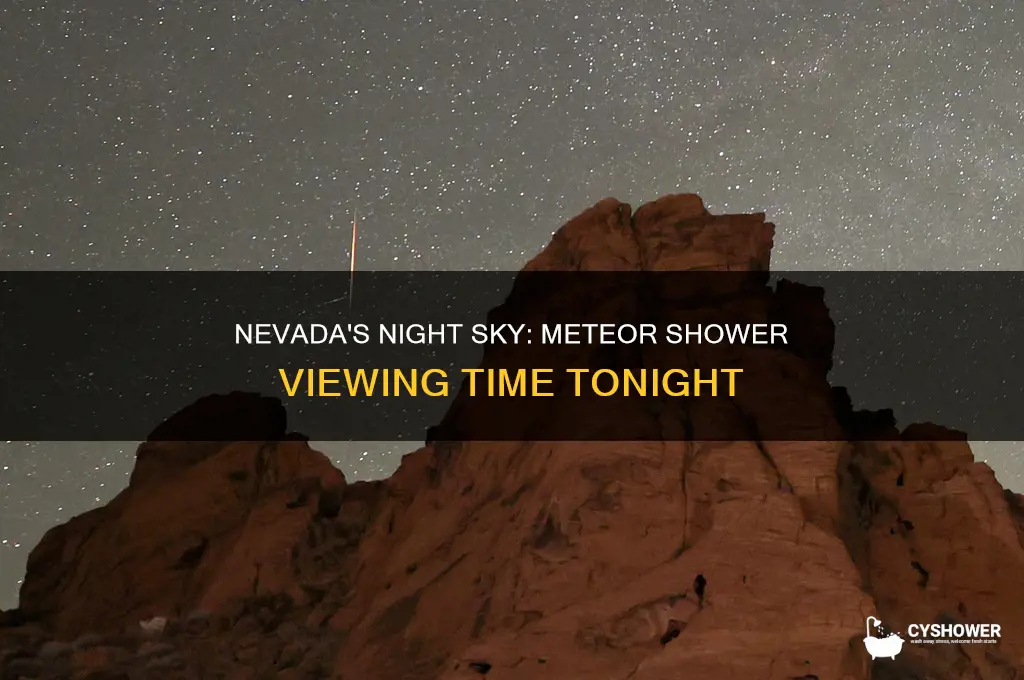 what time is the meteor shower tonight in nevada