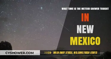 New Mexico Meteor Shower Tonight: Start Time and Viewing Tips