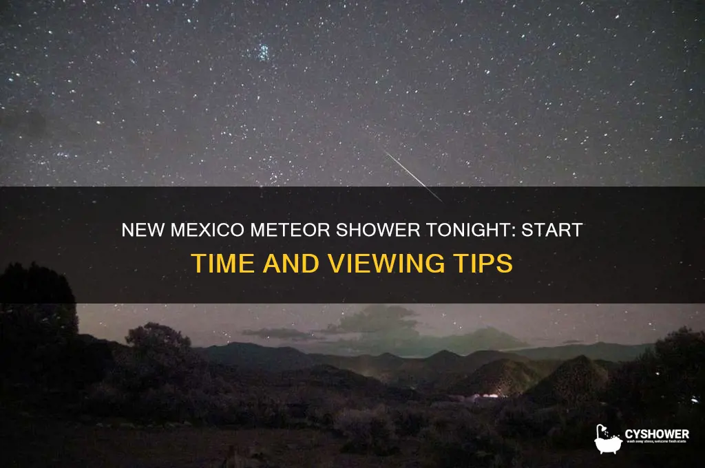 what time is the meteor shower tonight in new mexico