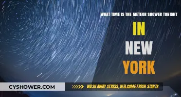 New York's Meteor Shower Tonight: Best Viewing Time and Tips