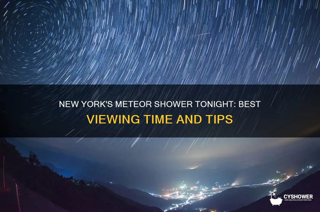 what time is the meteor shower tonight in new york