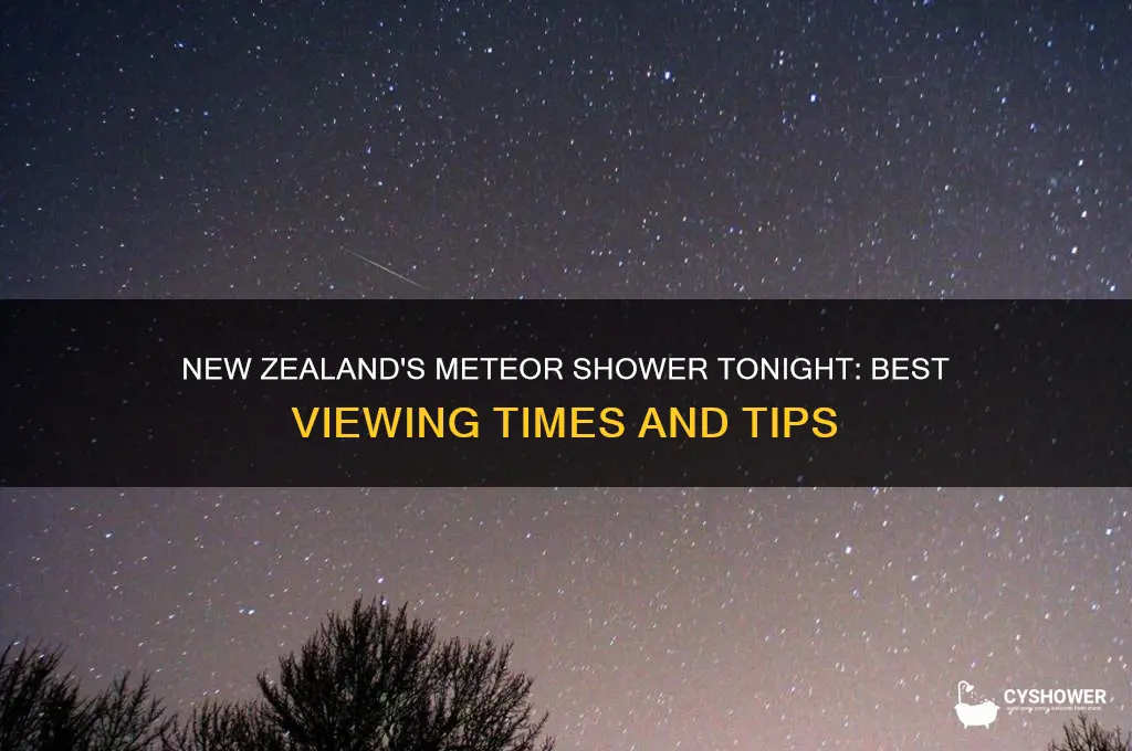 what time is the meteor shower tonight in new zealand