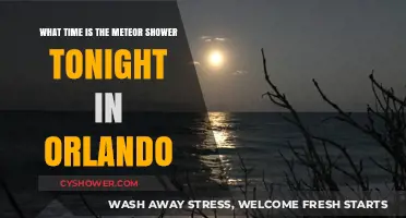 Orlando's Night Sky: Meteor Shower Viewing Time Tonight Revealed
