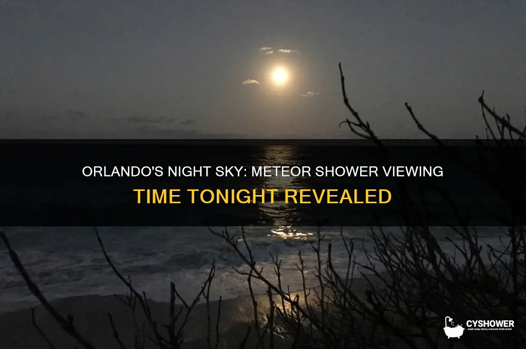 what time is the meteor shower tonight in orlando