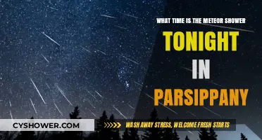 Parsippany's Night Sky: Meteor Shower Viewing Time Tonight