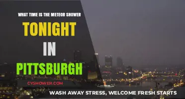 Pittsburgh's Meteor Shower Tonight: Start Time and Viewing Tips