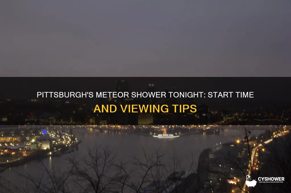 what time is the meteor shower tonight in pittsburgh