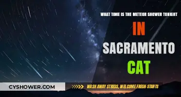 Sacramento's Night Sky: Meteor Shower Viewing Time Tonight