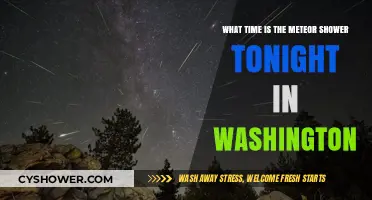 Washington's Meteor Shower Tonight: Best Viewing Time and Tips