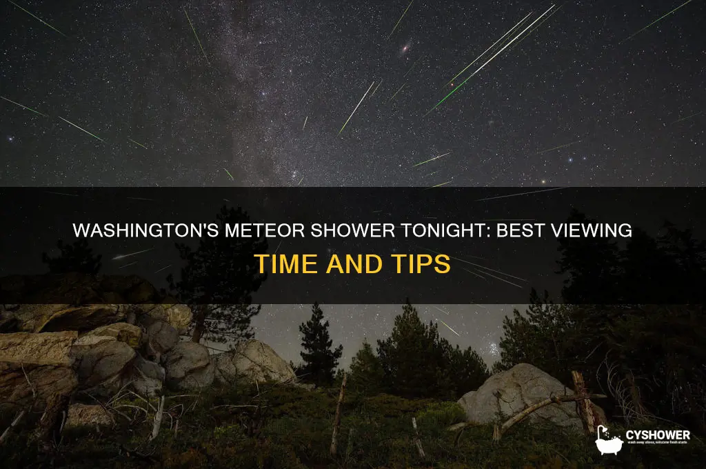 what time is the meteor shower tonight in washington