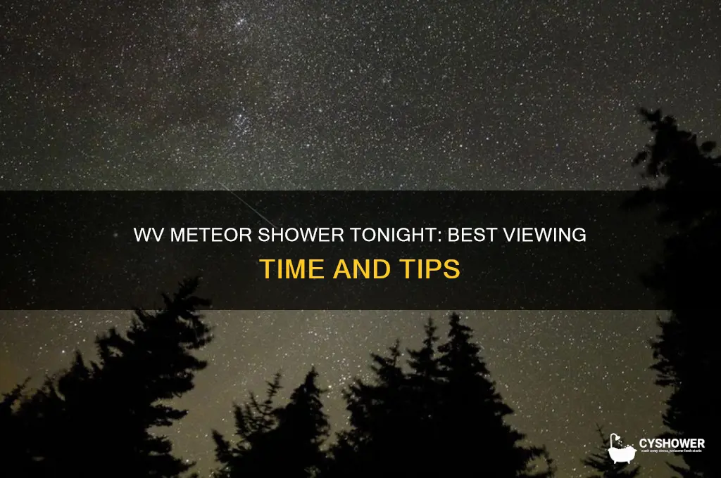 what time is the meteor shower tonight in wv