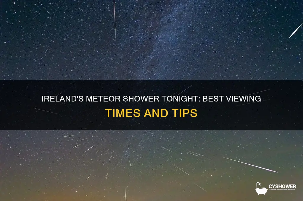 what time is the meteor shower tonight ireland