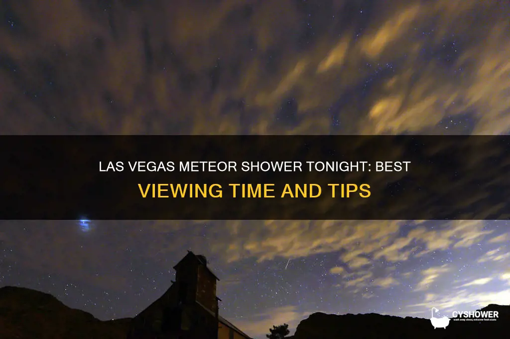 what time is the meteor shower tonight las vegas