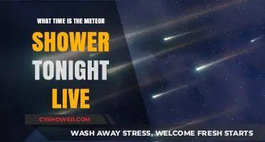 Tonight's Meteor Shower: Best Time to Watch Live in the Sky