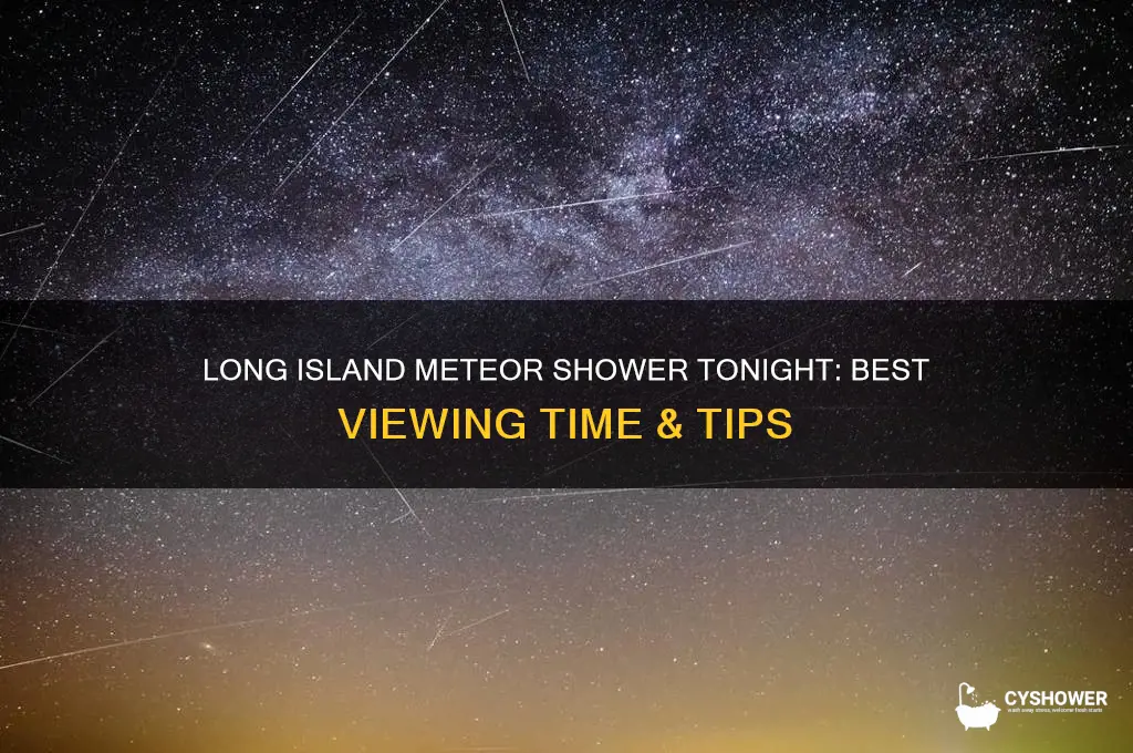 what time is the meteor shower tonight long island