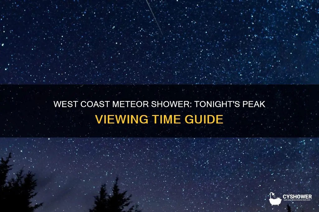 what time is the meteor shower tonight west coast
