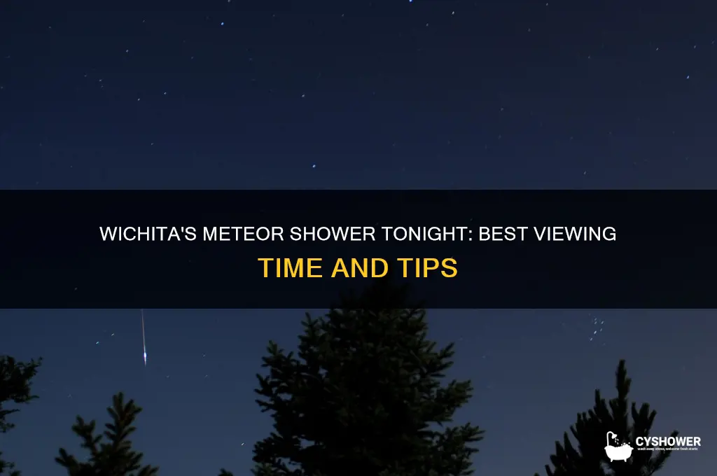 what time is the meteor shower wichita tonight