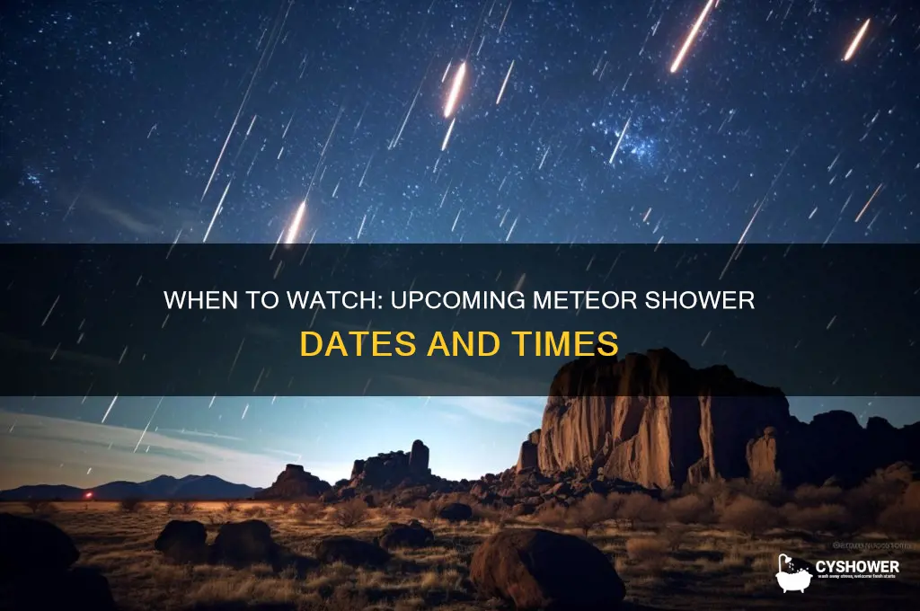 what time is the next meteor shower