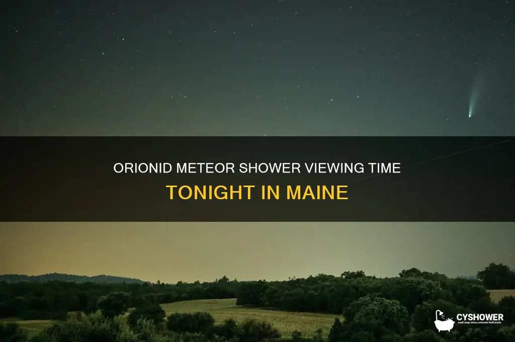 what time is the orionid meteor shower tonight in maine