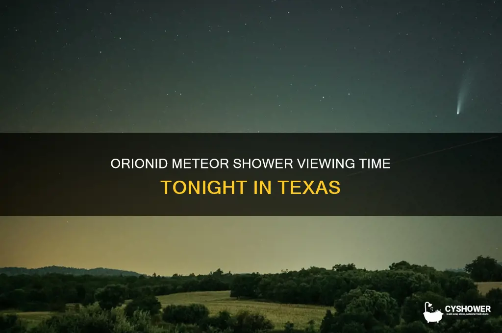 what time is the orionid meteor shower tonight in texas