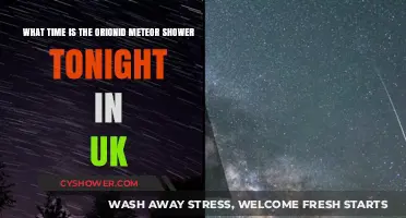 Orionid Meteor Shower UK: Tonight's Peak Viewing Time Revealed