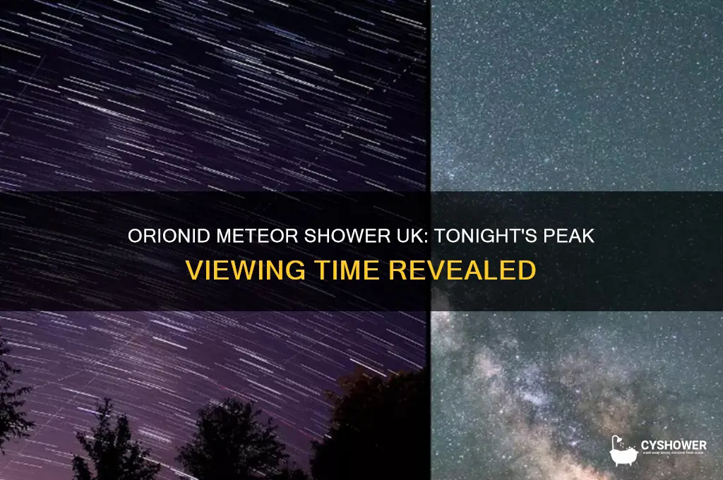 what time is the orionid meteor shower tonight in uk