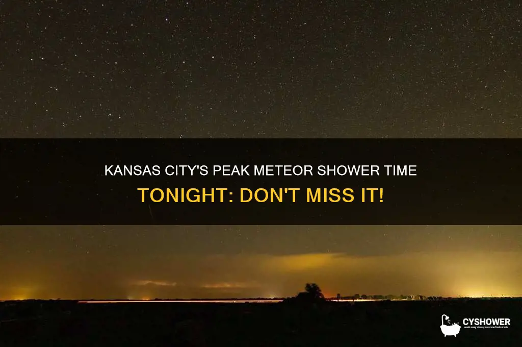 what time is the peak meteor shower tonight kansas city
