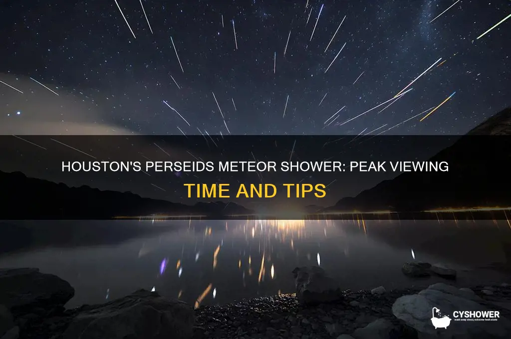 what time is the perseids meteor shower in houston