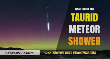 When to Watch the Taurid Meteor Shower: Peak Times and Tips