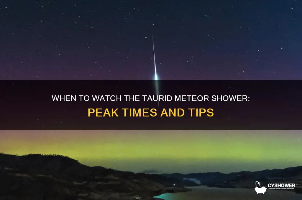 what time is the taurid meteor shower