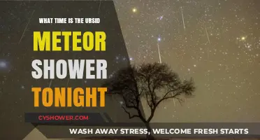 When to Watch the Ursid Meteor Shower Tonight: A Guide