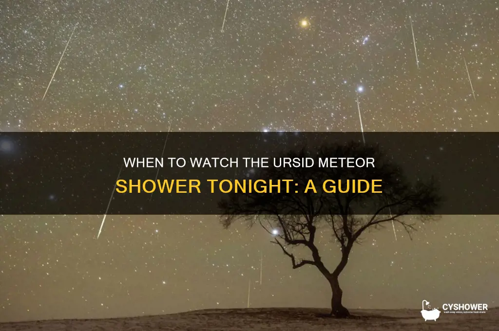 what time is the ursid meteor shower tonight