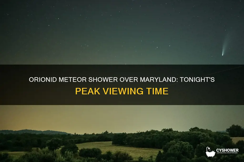 what time is tonight orionid meteor shower over maryland