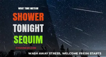 Sequim's Night Sky: When to Watch Tonight's Meteor Shower