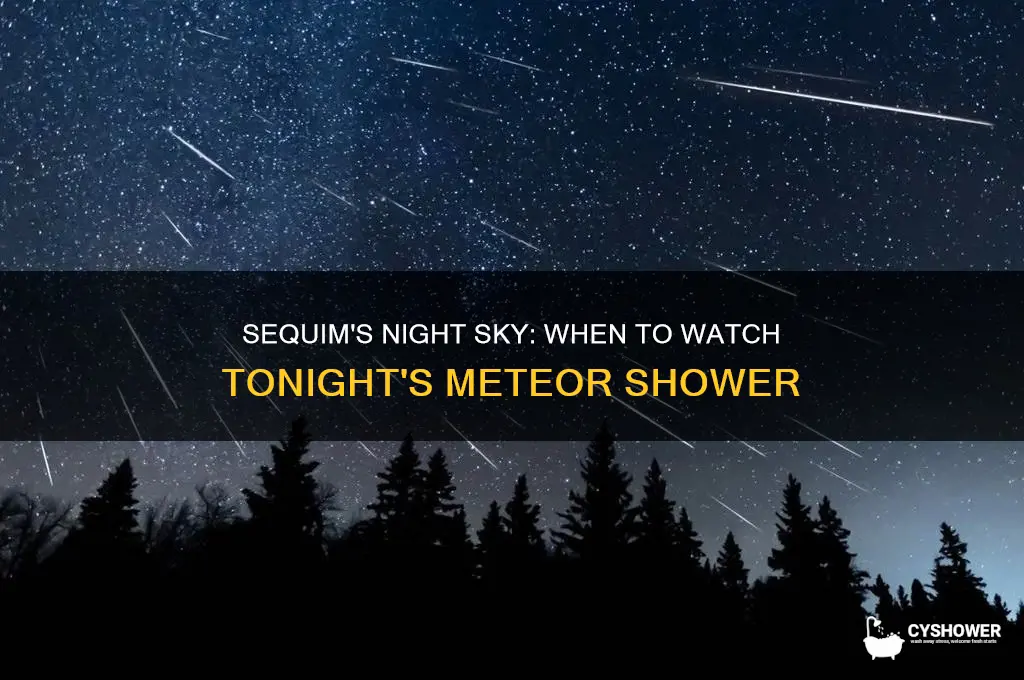 what time meteor shower tonight sequim