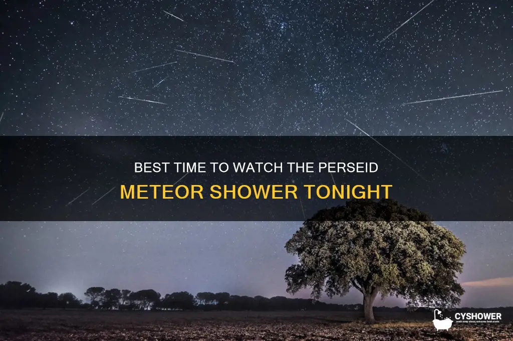 what time should i watch the perseid meteor shower tonight