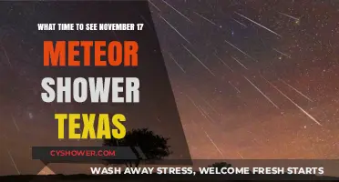 Best Time to Watch November 17 Meteor Shower in Texas
