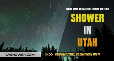 Best Time to Watch Leonids Meteor Shower in Utah