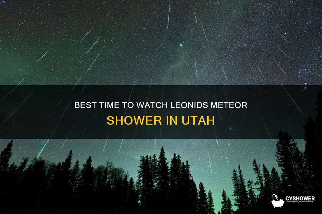 what time to watch leonids meteor shower in utah