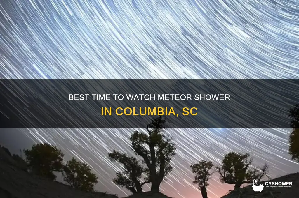 what time to watch meteor shower over columbia sc