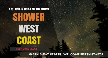 Best Time to Watch Perseid Meteor Shower on the West Coast