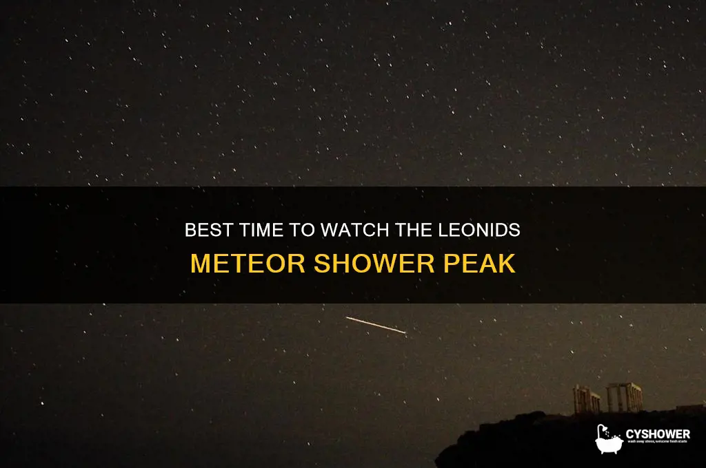 what time will the leonids meteor shower be most active