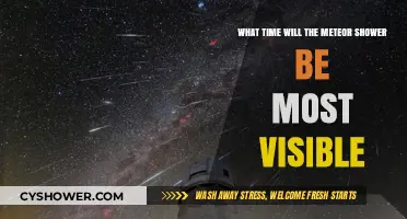 Best Time to Watch: Meteor Shower Visibility Peak Hours