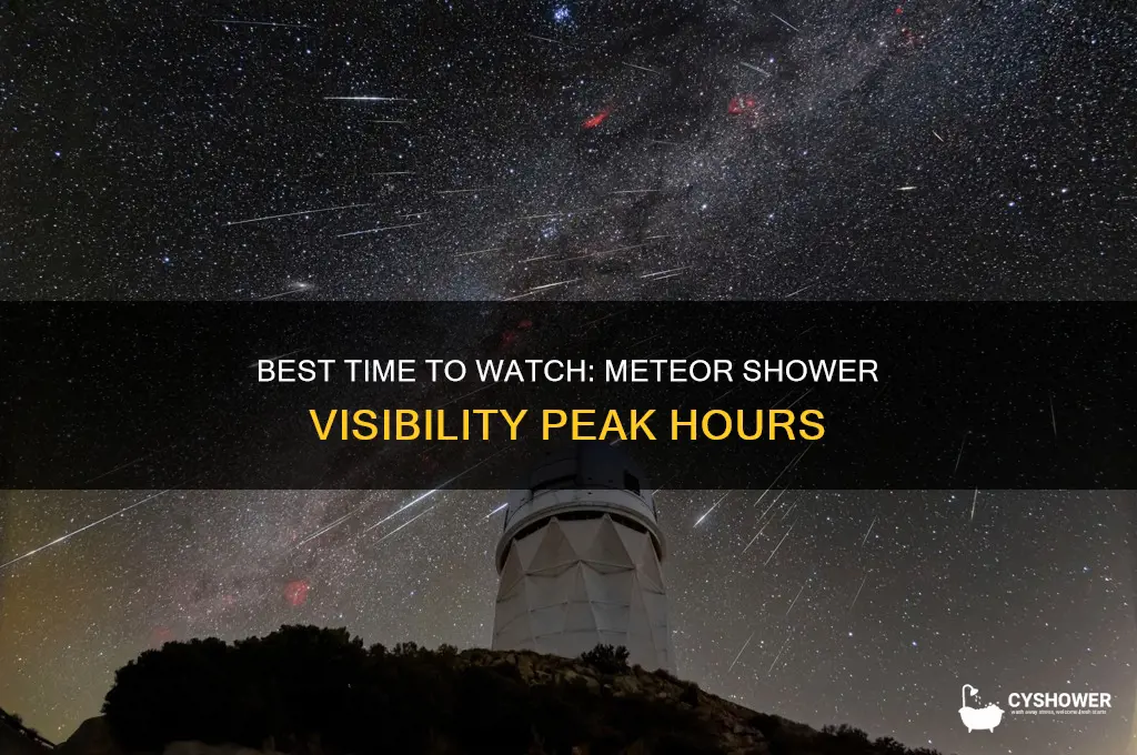 what time will the meteor shower be most visible