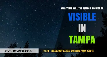 Tampa's Meteor Shower: Best Viewing Time and Tips