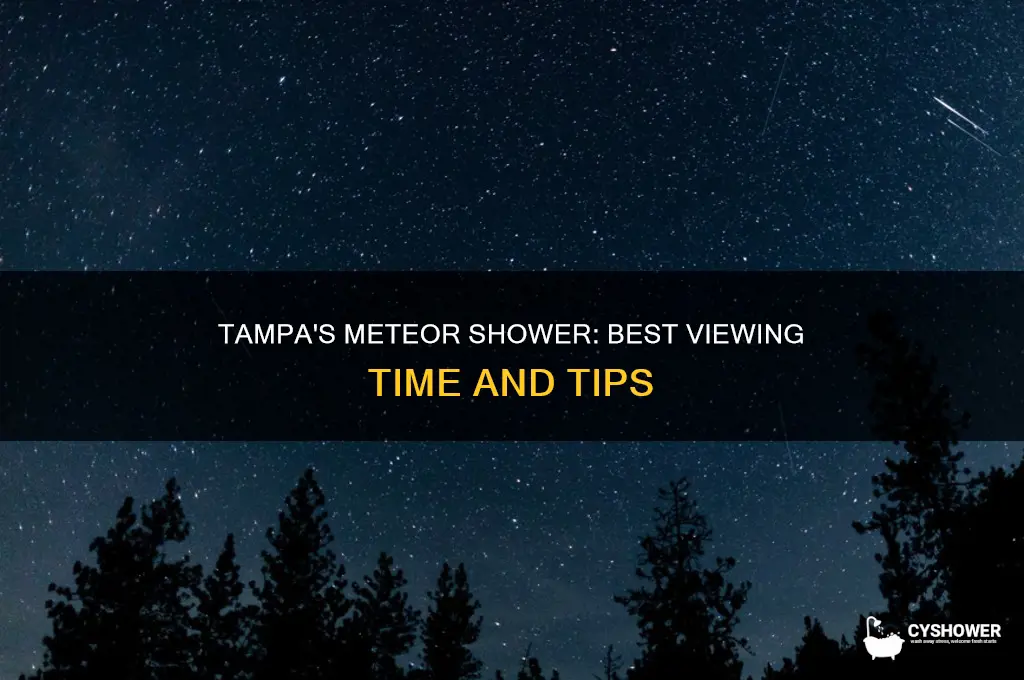 what time will the meteor shower be visible in tampa