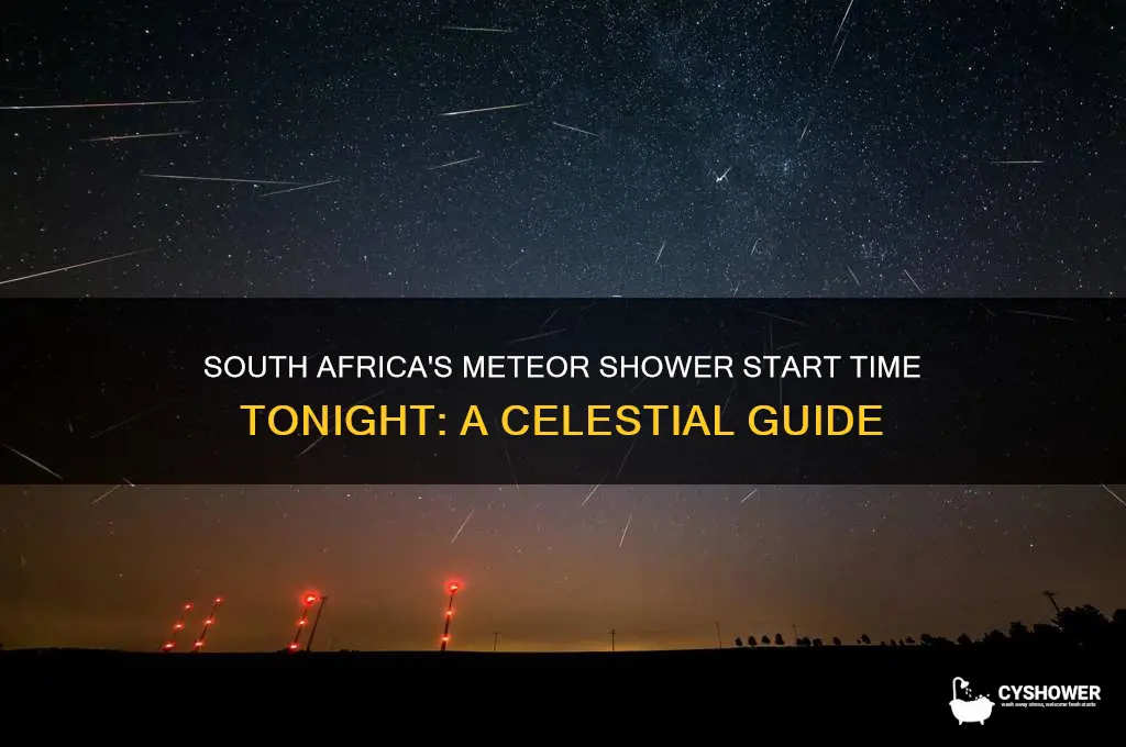 what time will the meteor shower start tonight south africa