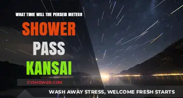 Perseid Meteor Shower: Kansai Viewing Time and Tips