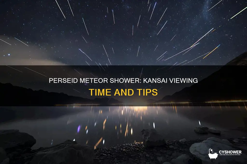 what time will the perseid meteor shower pass kansai